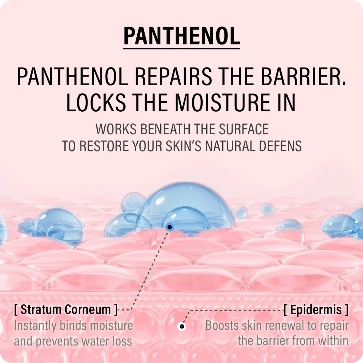 epii Double up cream, Ectoin & Panthenol