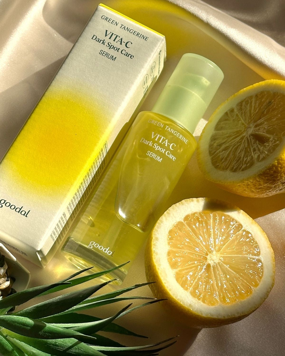 Goodal Green Tangerine Vita-C Dark Spot Care Serum